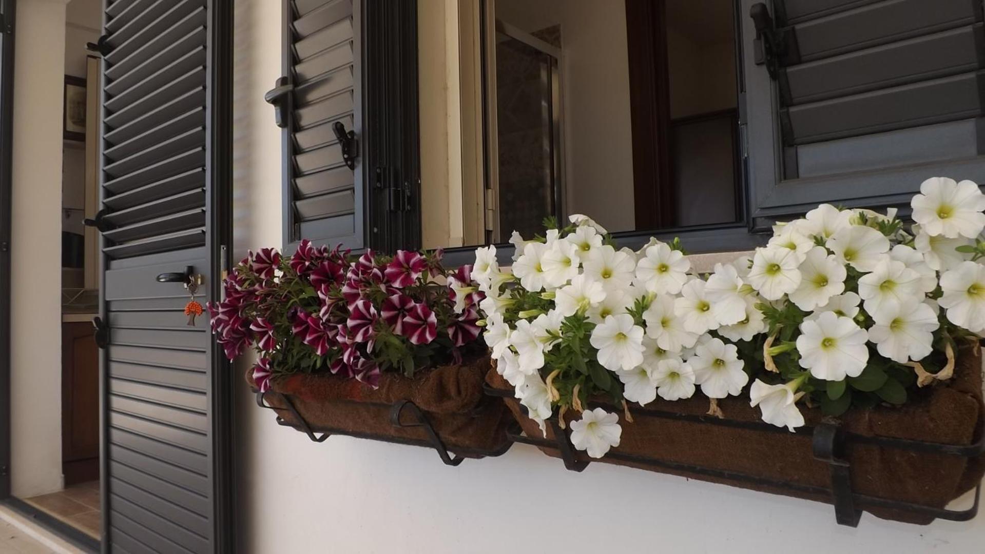 Beb Nonno Baffo Bed and Breakfast Avola Εξωτερικό φωτογραφία