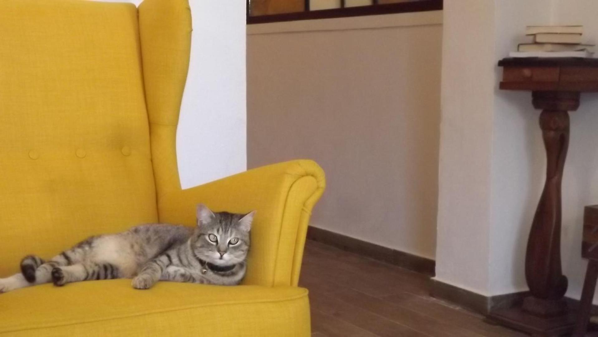 Beb Nonno Baffo Bed and Breakfast Avola Εξωτερικό φωτογραφία