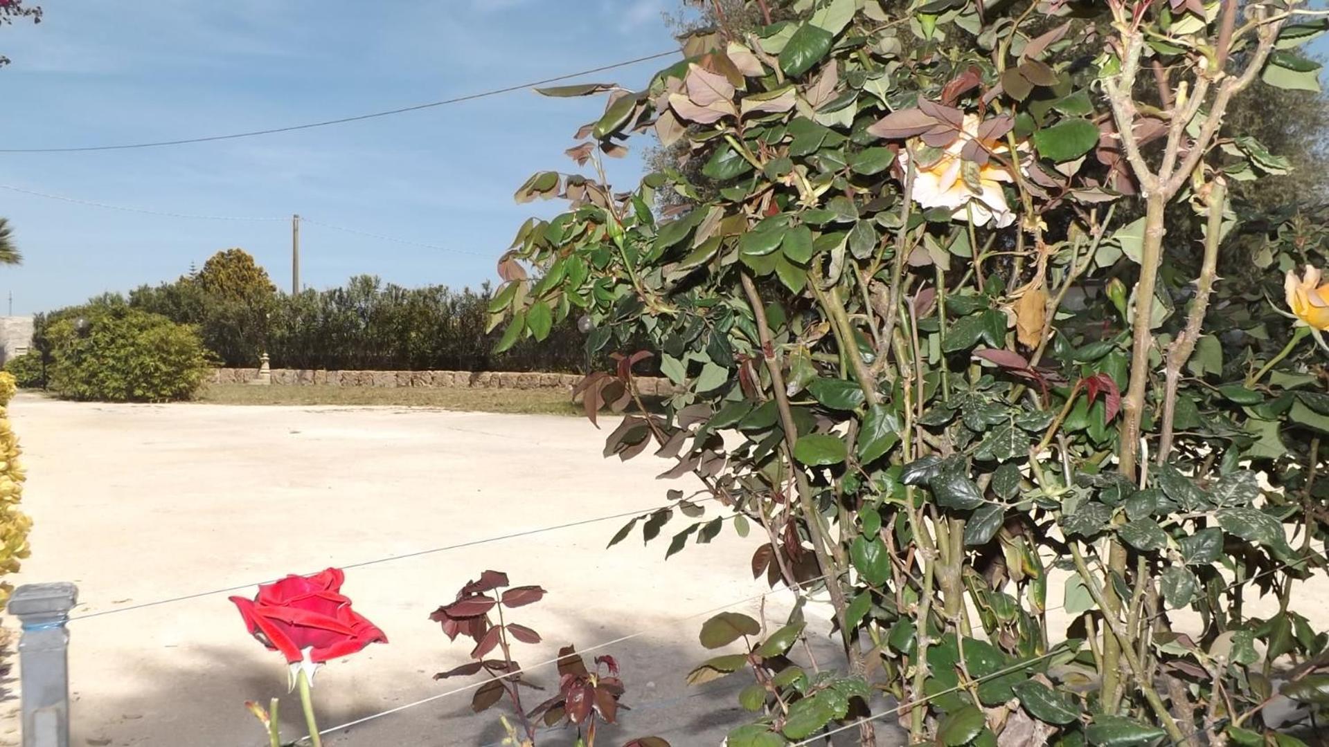 Beb Nonno Baffo Bed and Breakfast Avola Εξωτερικό φωτογραφία