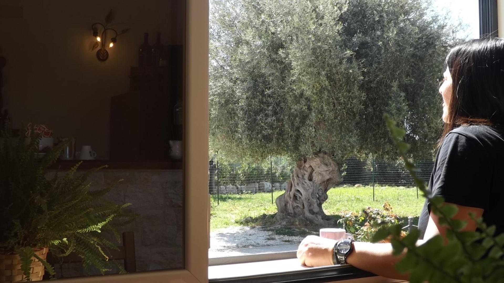 Beb Nonno Baffo Bed and Breakfast Avola Εξωτερικό φωτογραφία